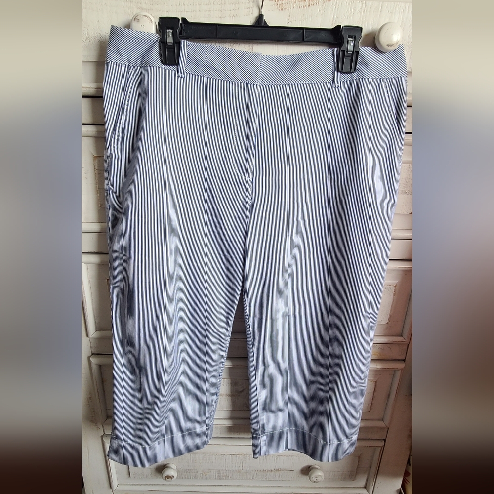 Talbots Blue Striped Capri Pants